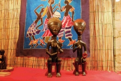 africa1