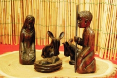africa2